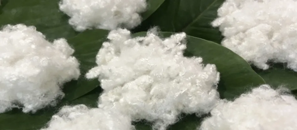 Je polyester syntetické vlákno? Niečo, čo by si mal vedieť